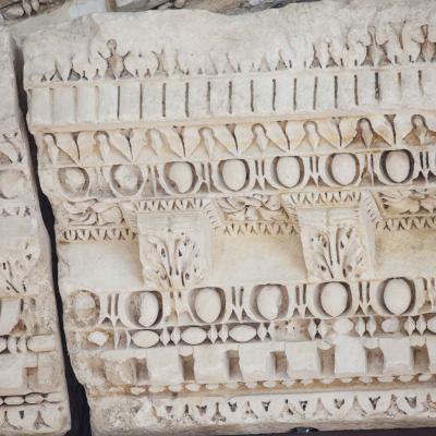 SELE musée de la Romanité