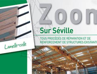 zoom seville
