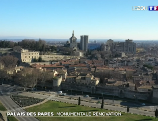 sele reportage tf1